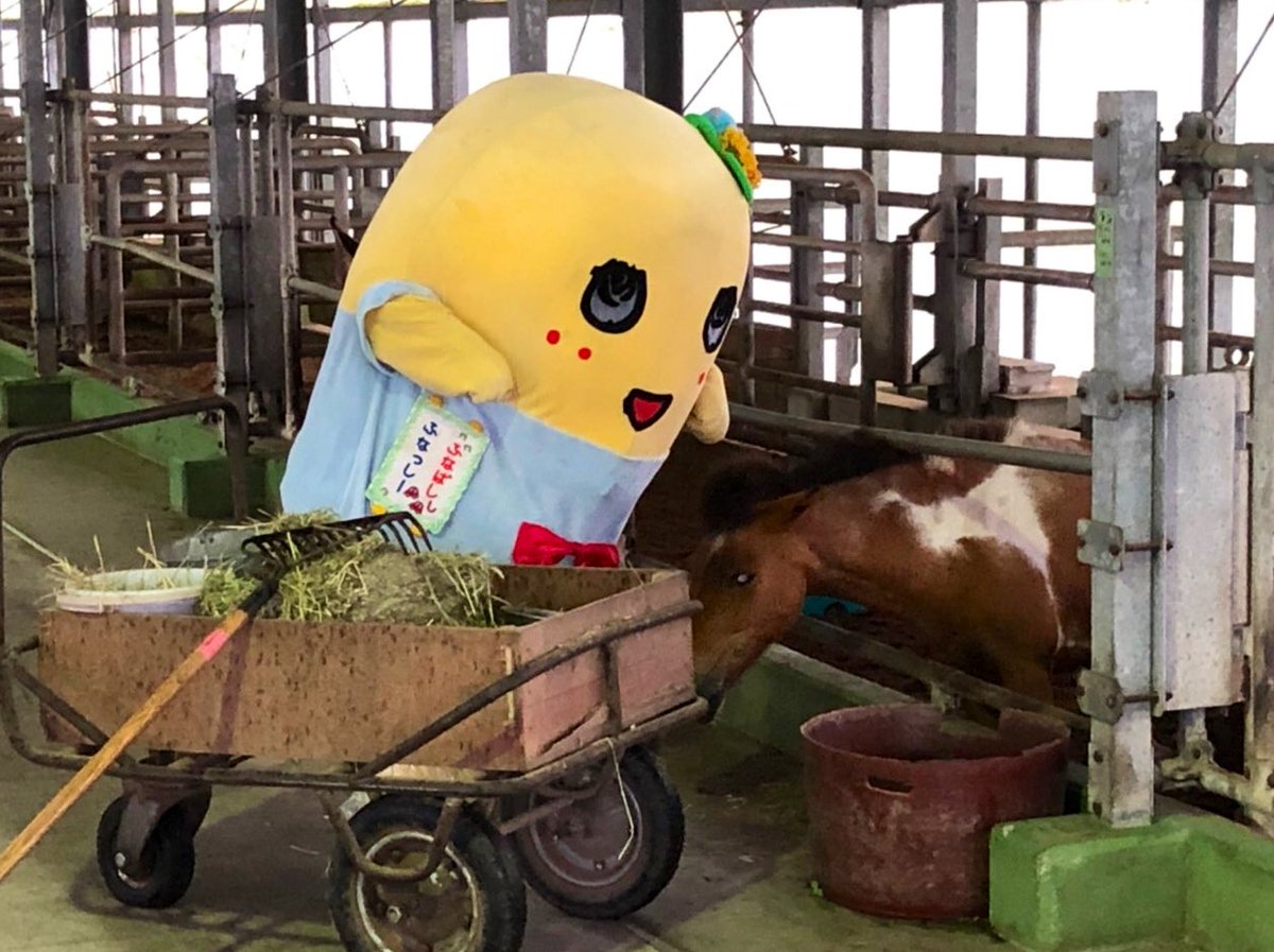 ふなっしー 9i085xS4WBTu1Sf2BujLHo2zRicQ5c