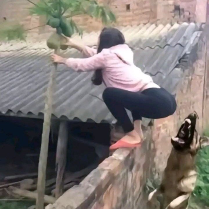 Talvez você ache isso engraçado tweet media