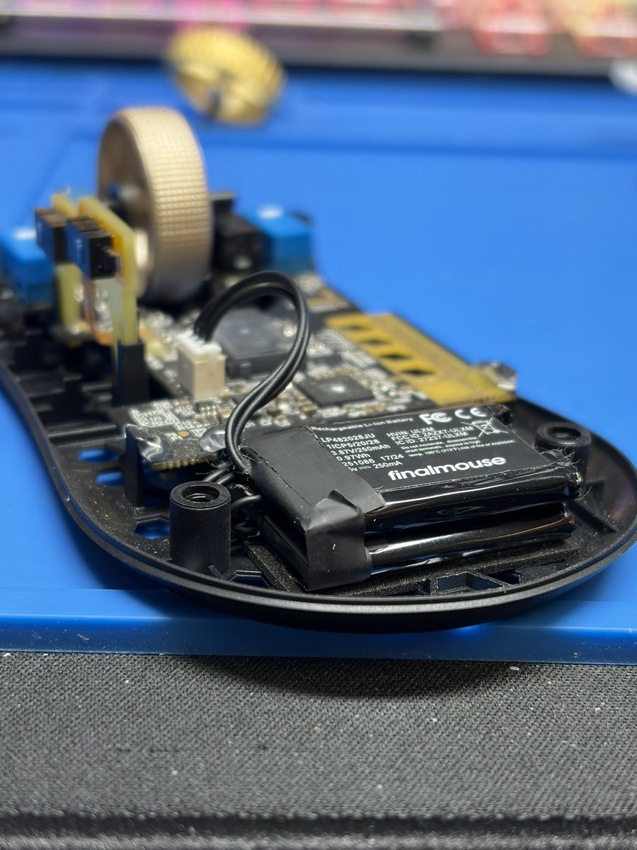 Two is better than one. 🦁