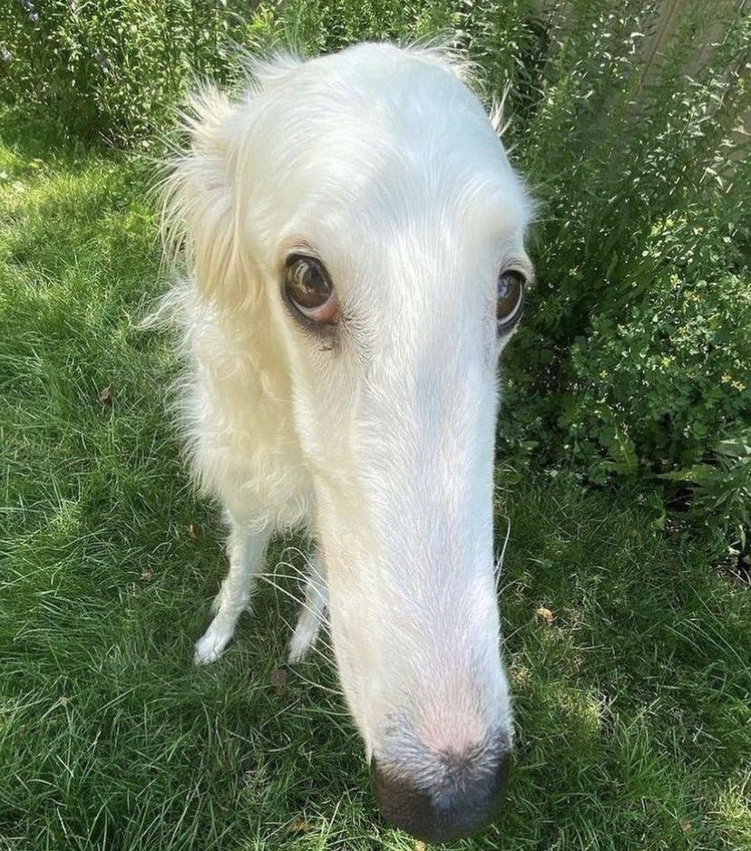 it’s friend fondle friday…… noelle. <a href="/MK_o30/">MK!!</a>