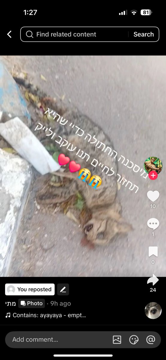 תנו עוקב ולייק