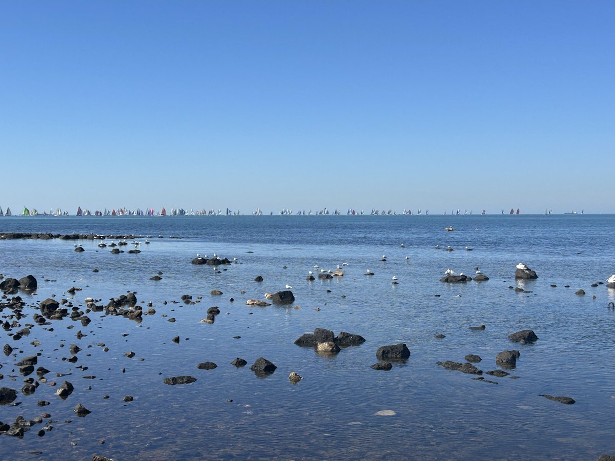 jess_marnich's tweet photo. ¡Buen día! Enjoying the water before the heat of the day. #MOWSC warming up with @FestivalofSails in the background. Nice to see you, Life is good.
#SelfCare #OceanSwimming
#MelbsWest
#PortPhillipBay https://t.co/dUf3tM6LjY