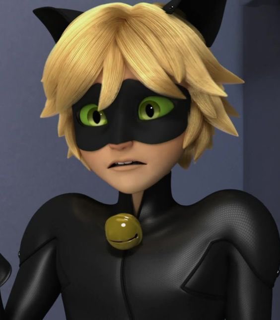 daily chat noir tweet media