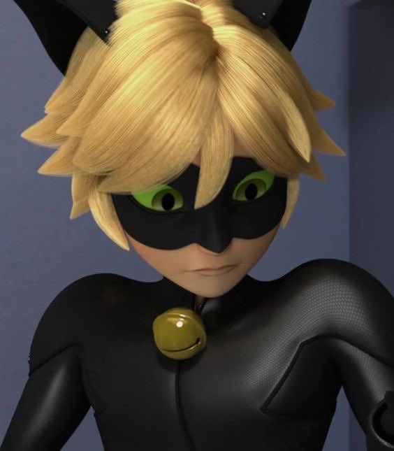 daily chat noir tweet media