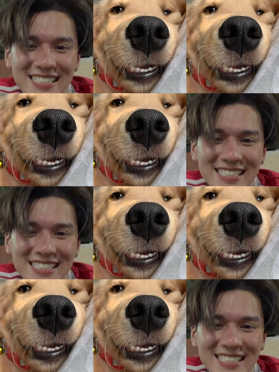 เกมจับผิดภาพ ตามหาเจ่งโชฟันยิ้มแฉ่งง🐶🫳🏻