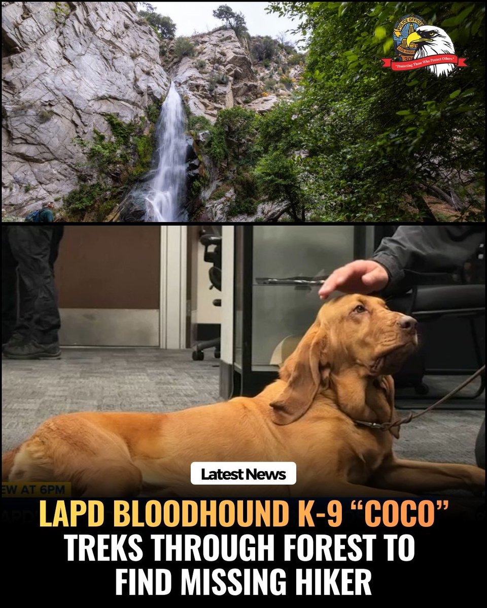 Los Angeles Police Protective League tweet media