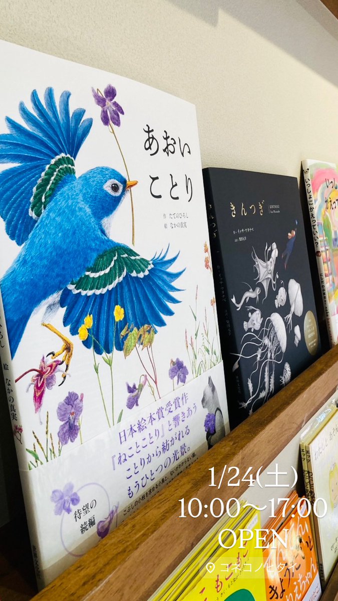 あのねブックス【公式】 (@anone_books) / Posts / X