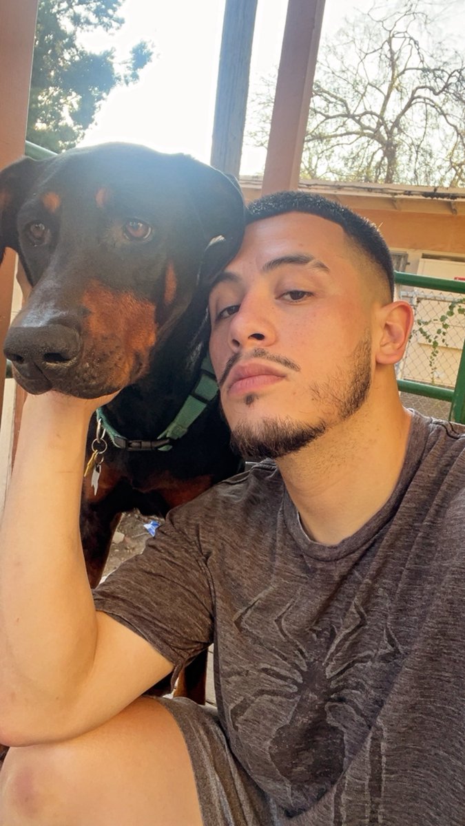 Jaycember tweet picture