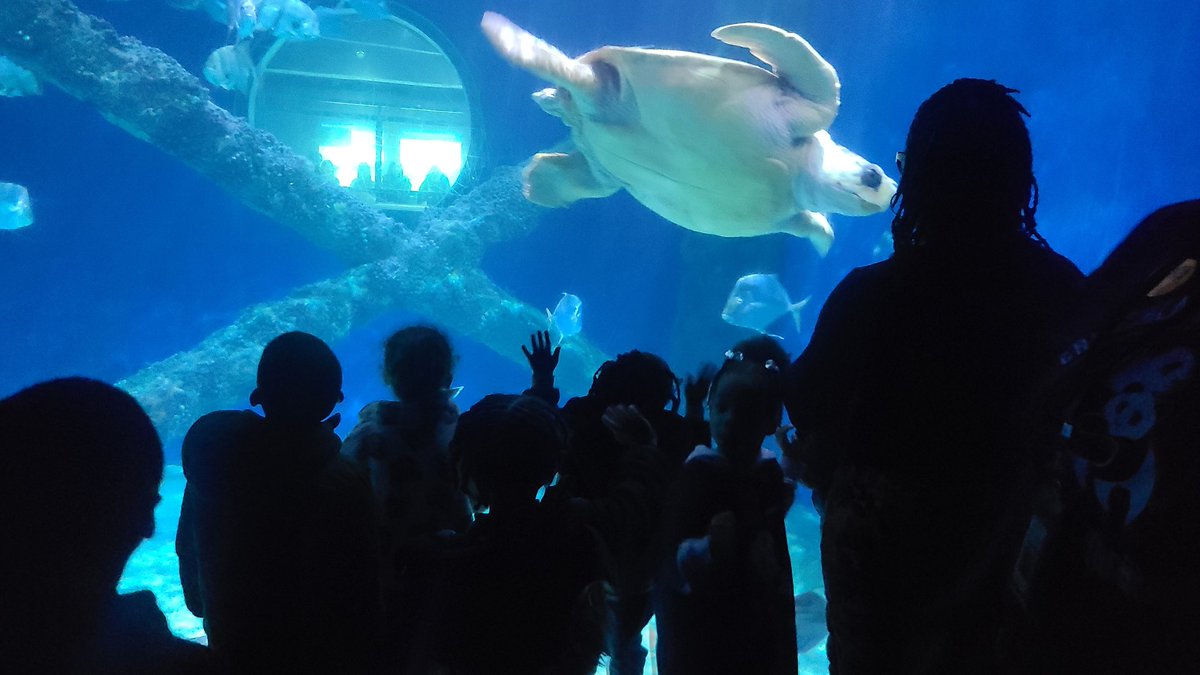 Churchland Preschool Center tweet media