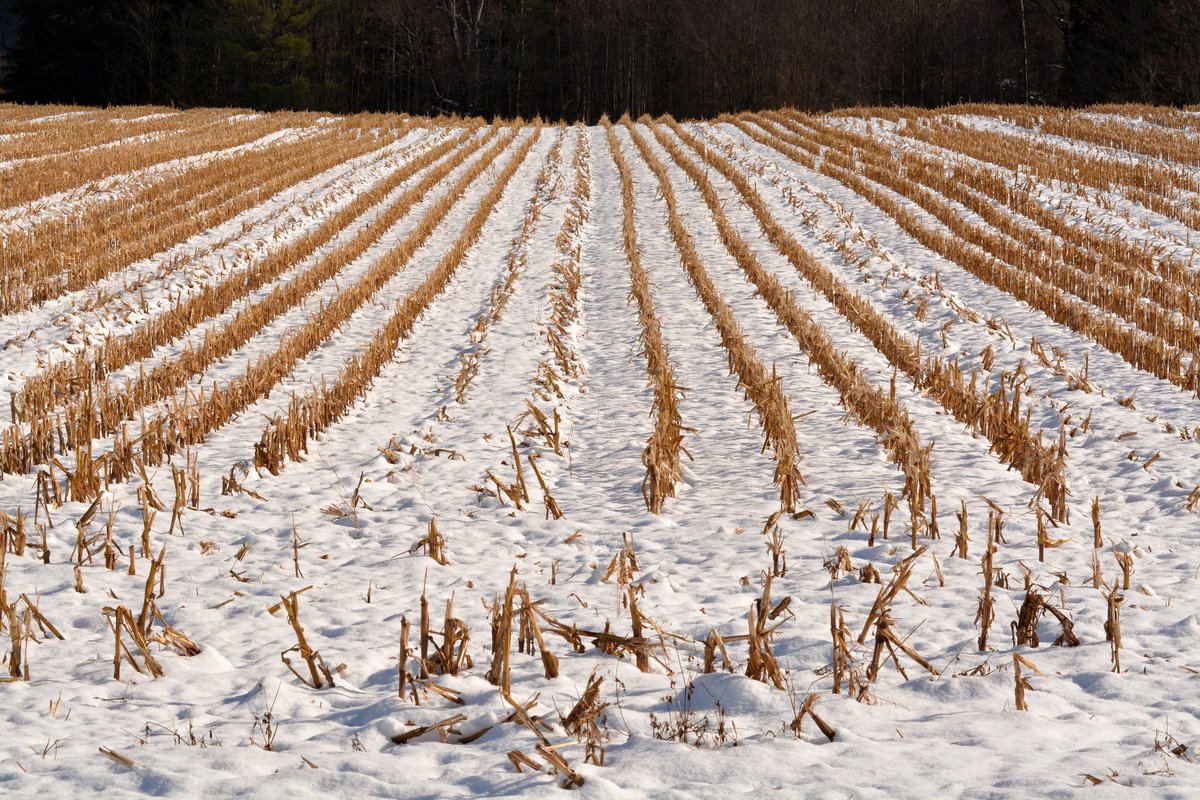 MauserInsurance's tweet image. With the polar vortex and the extreme cold warnings upon us, PLEASE BE SAFE OUT THERE. Check in on family and friends! Sending warm thoughts to each and every one of you!

#PolarVortex #ColdWarning #WinterWarning #Iowa #Farmer #Farming #Midwest #IowaAg #IowaFarmer #IowaFarm