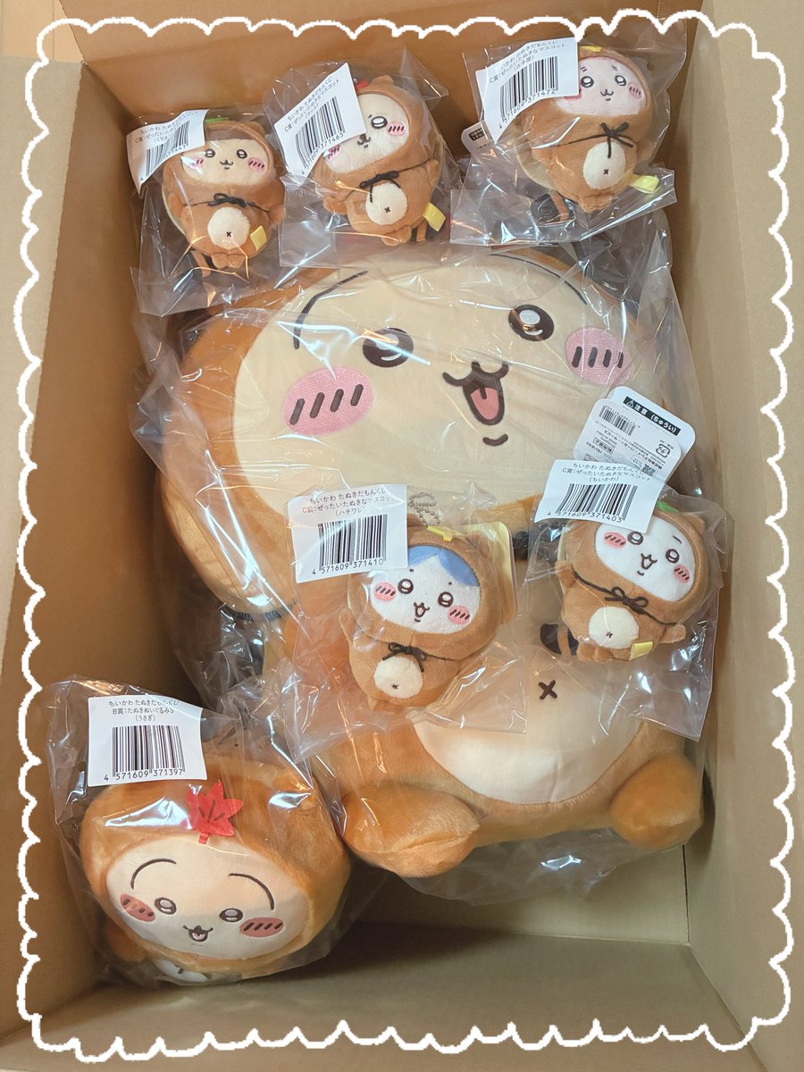 たぬきだもんくじ