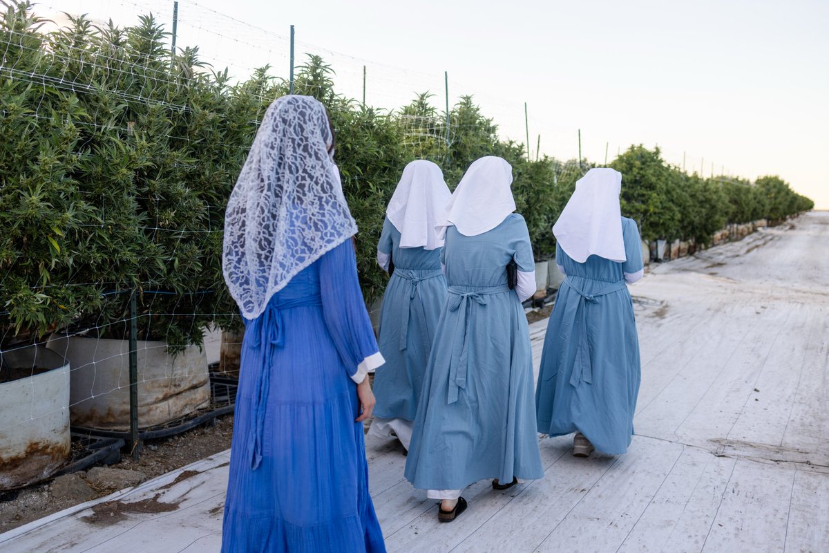 Jessica Blair tweet media