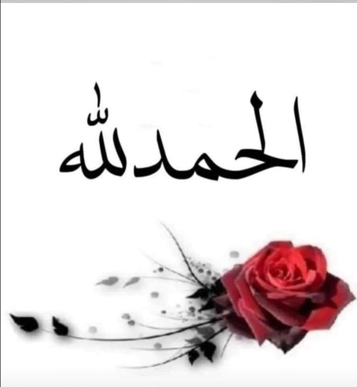 *“Allah’ın rahmetinden ümidinizi kesmeyin. Çünkü Allah, bütün günahları bağışlar.”*

(Zümer Suresi, 39/53)