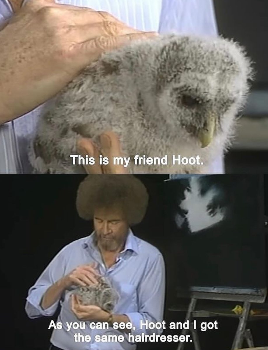 Respectful Memes (@respectfulmemes) on Twitter photo 