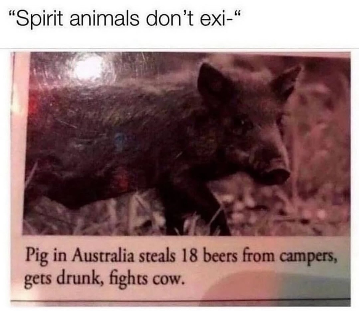 Respectful Memes (@respectfulmemes) on Twitter photo 