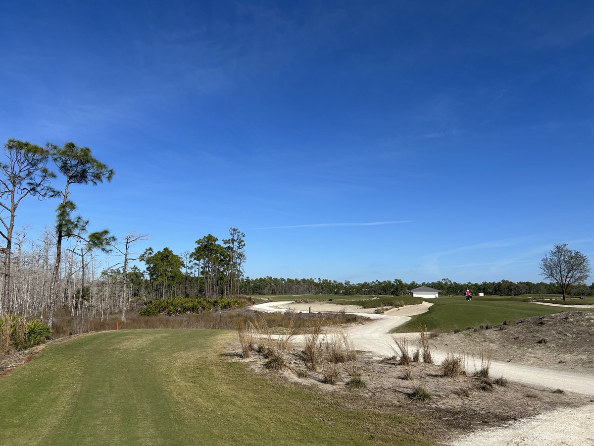 No Divots tweet media