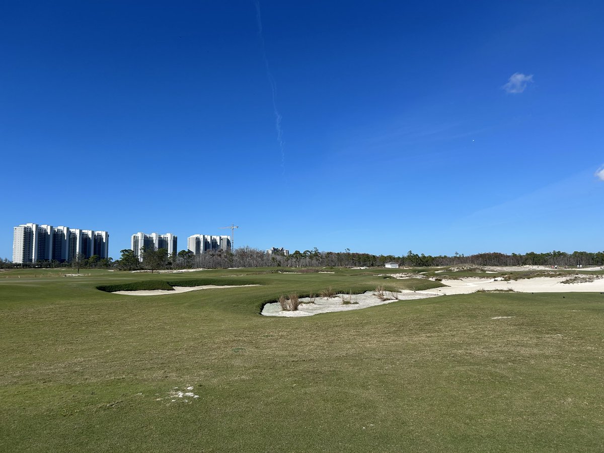 No Divots tweet media