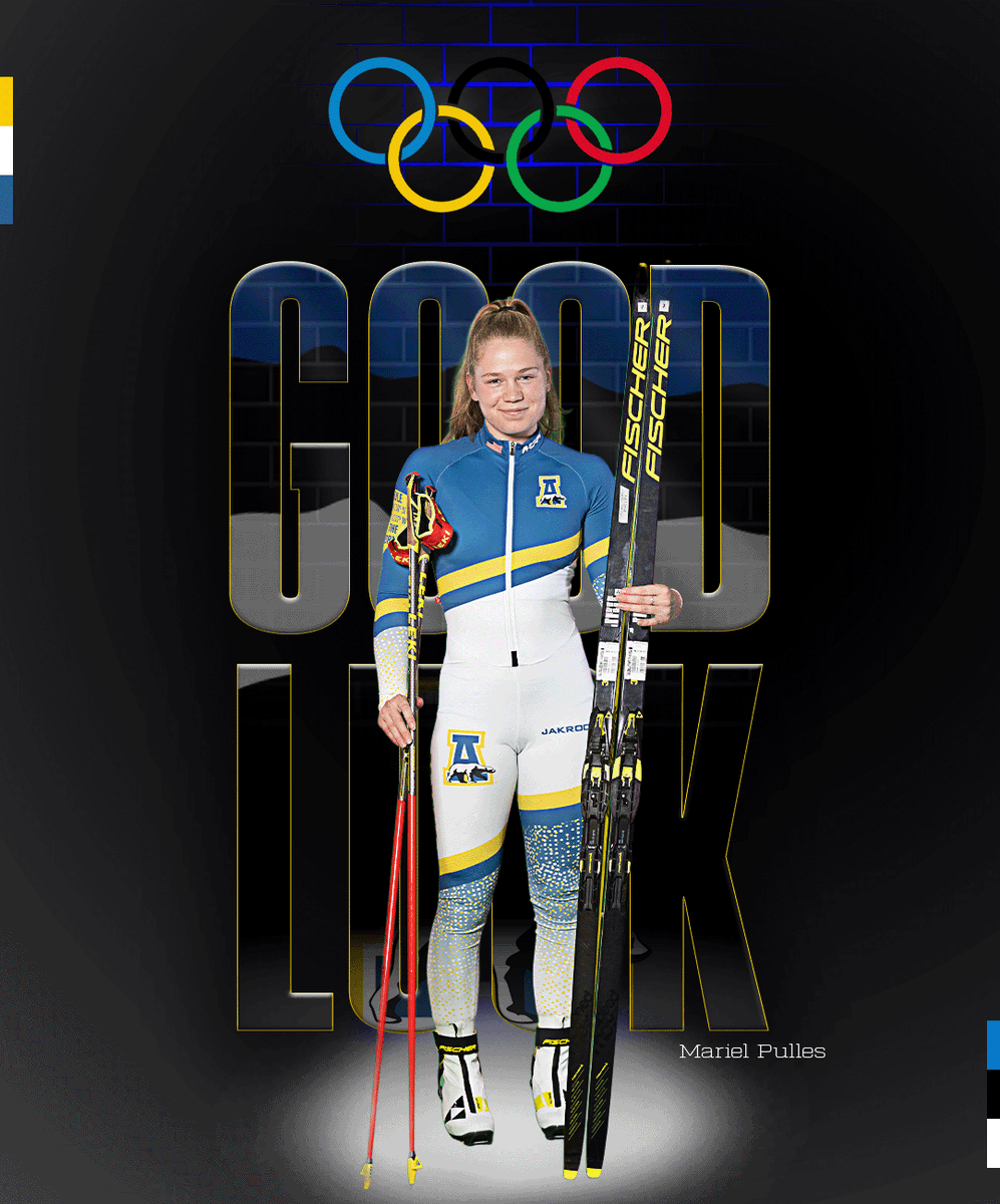 Nanooks Nordic Ski tweet media
