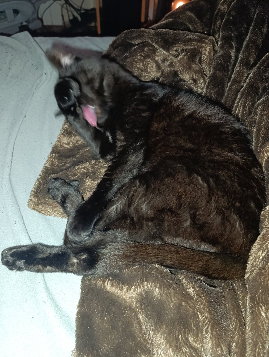 Iban del Banco tweet media