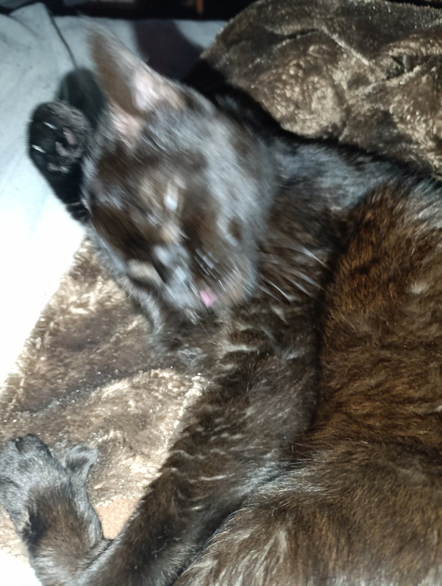 Iban del Banco tweet media