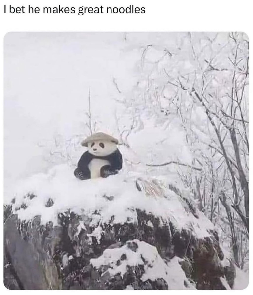 RespectfulMemes's tweet image. 