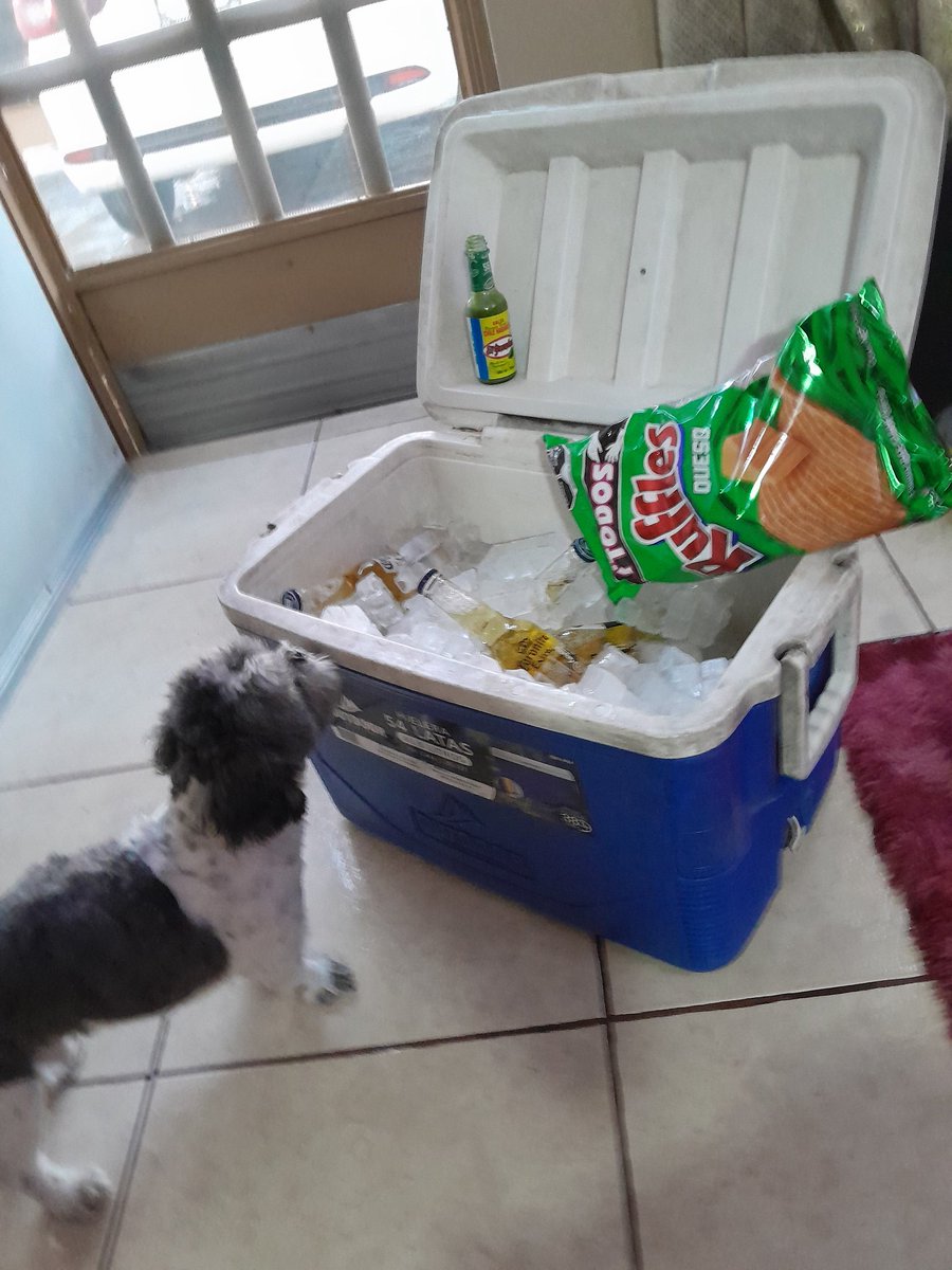 Es viernes raza🍺🍺🍺salucita 🍺 😎 💪👍pal bruno 🐶 🐶 y pa mii