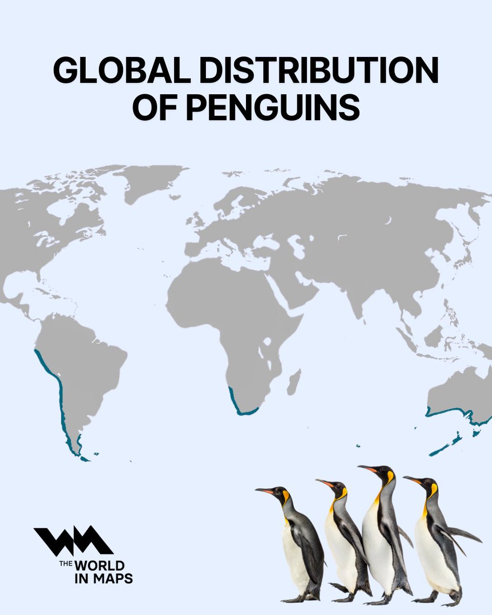 Xavi Ruiz tweet media