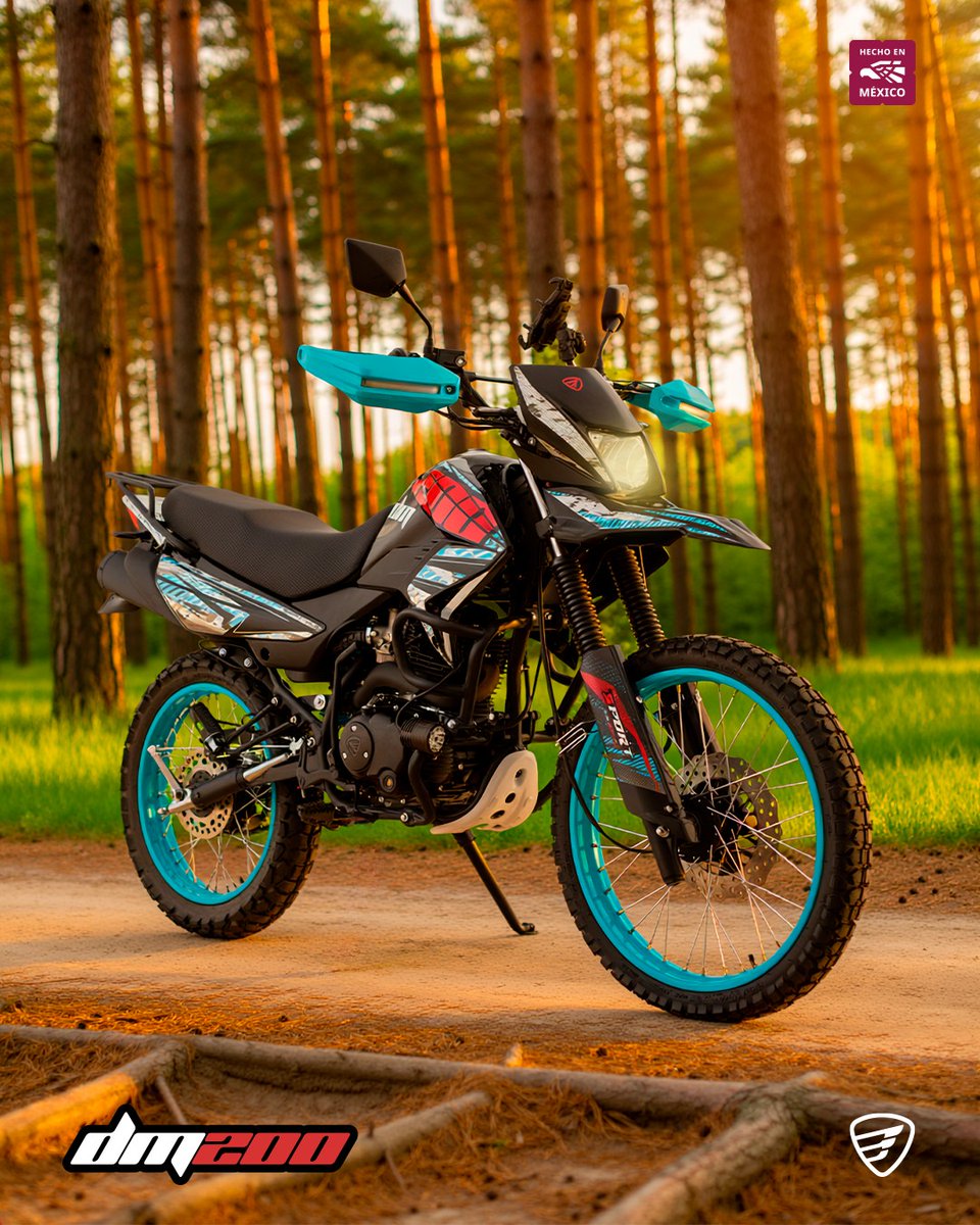 Revista_Moto's tweet photo. La #Italika #DM200 es versátil, confiable y lista para cualquier ruta. Tú eliges el camino, ella te acompaña. 🏍️✨
#ElMotorDeTuVida #ITK #MoviendoLasCalles #RevistaMoto #ItalikaRM26 @ItalikaOficial https://t.co/gKCVNVpzue