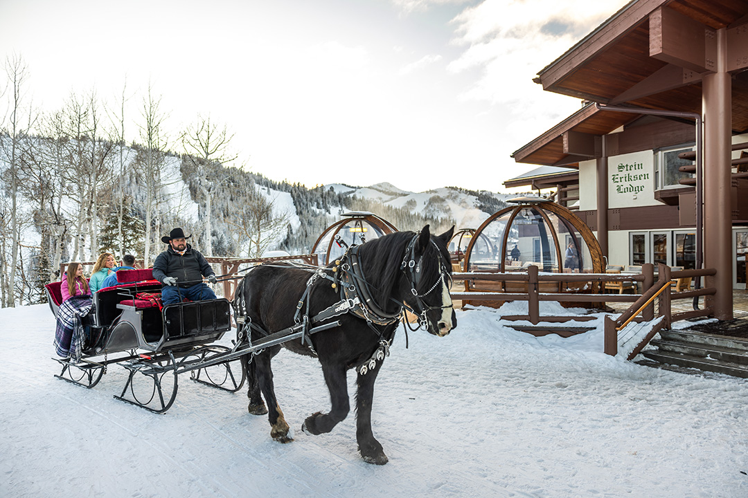 Stein Eriksen Lodge tweet media