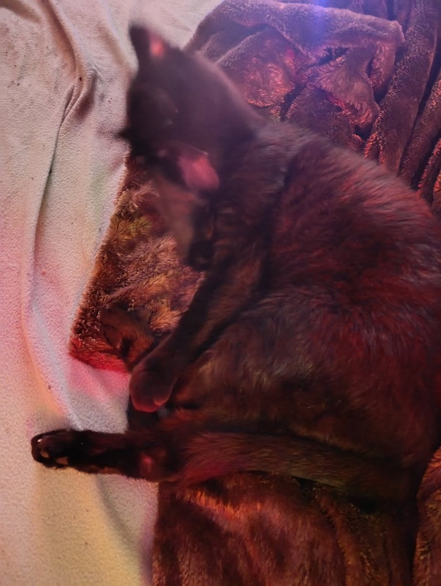 Iban del Banco tweet media