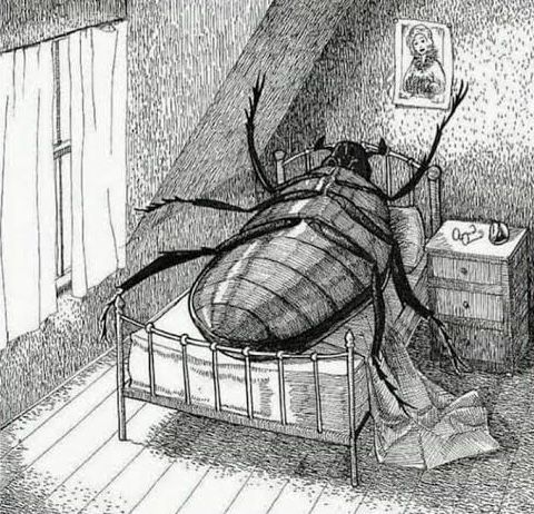 soulsspaces's tweet image. alguem que ja leu a metamorfose? queria conversar sobre 😭😭