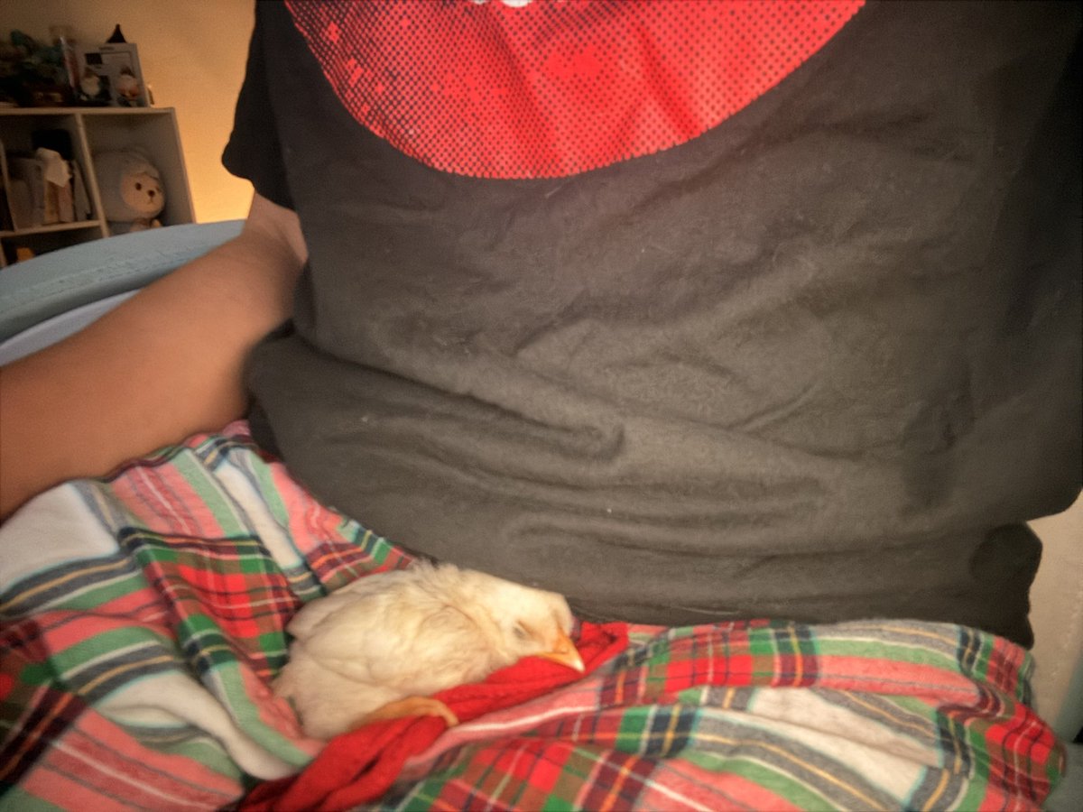 New pet just dropped