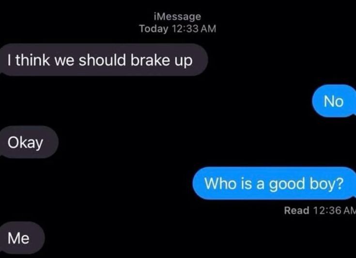 Wild Text Messages tweet media