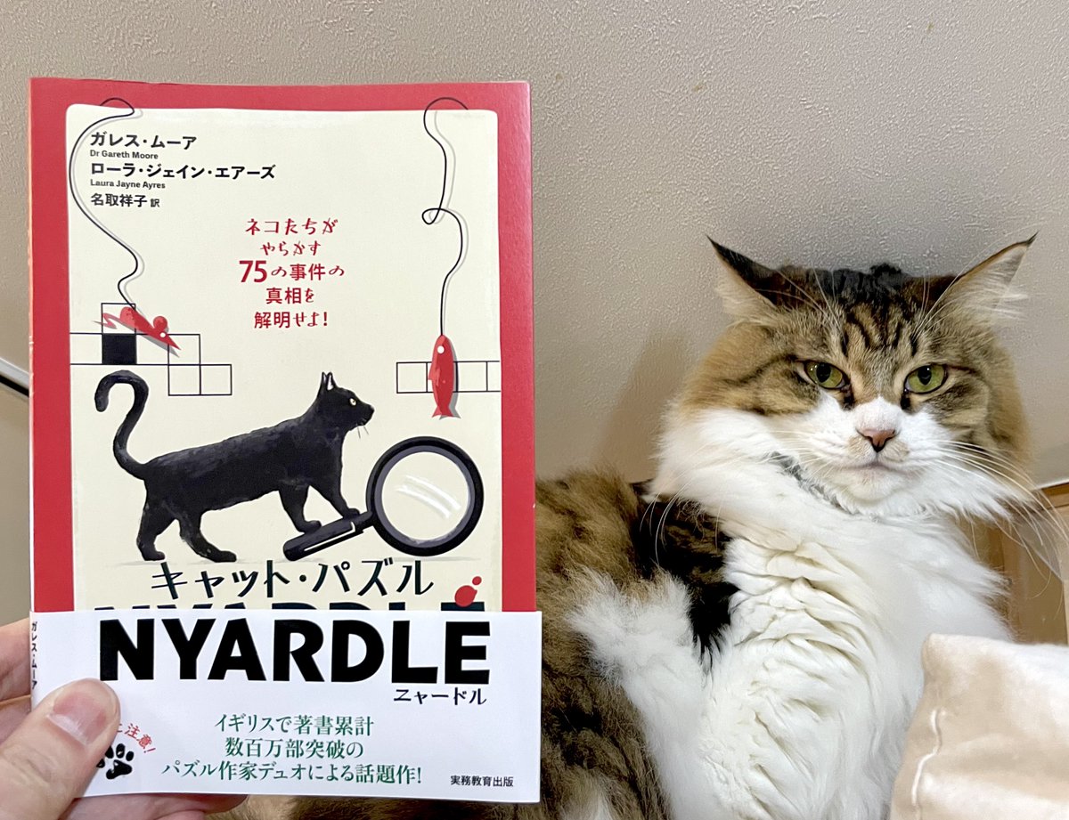 キャット・パズル NYARDLE（ニャードル）』は、いくつかの短文を