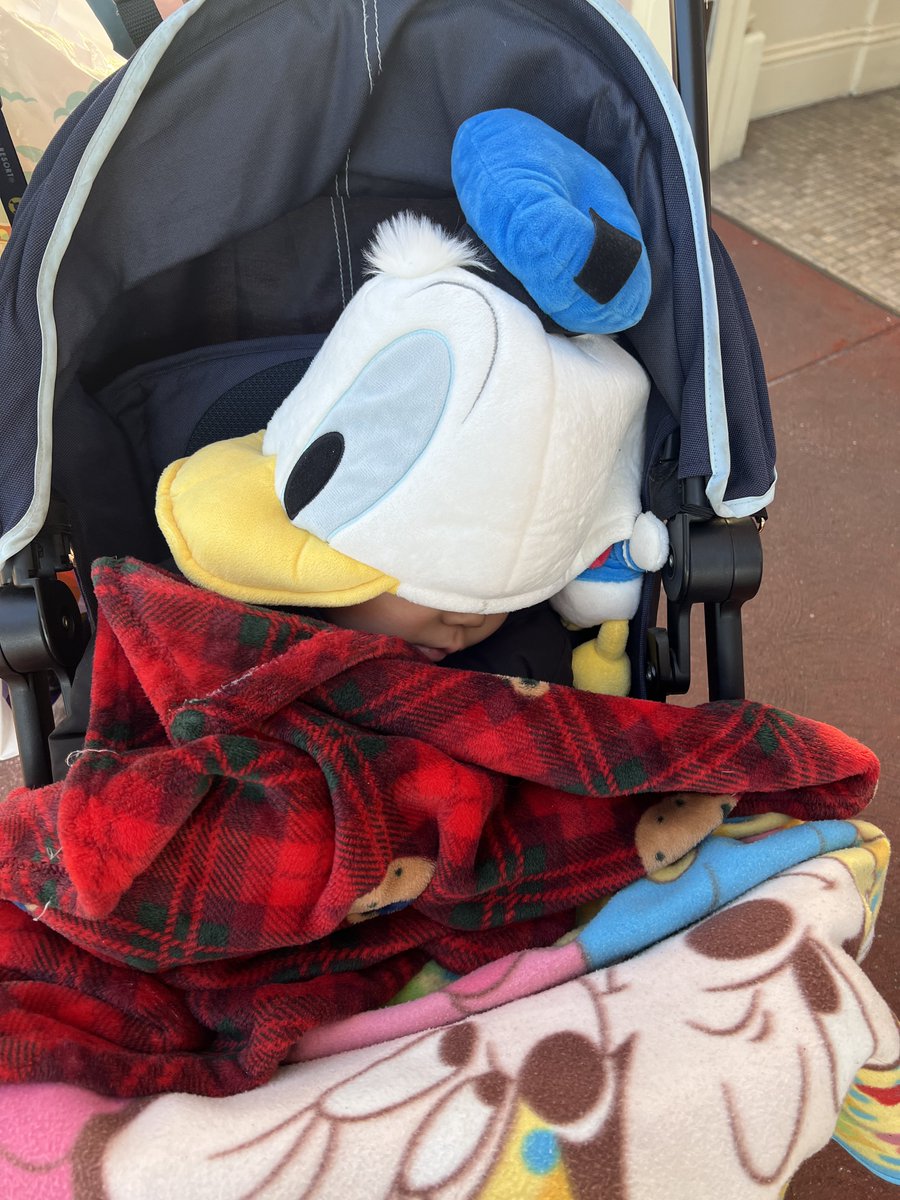 kome1983's tweet image. 開園前に寝てしまった我が家のドナルド