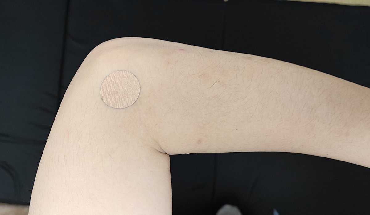 やなぞー tweet media