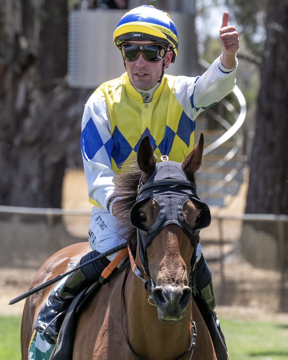 They couldn’t catch Flying Basil, who claims the <a href="/SeppeltWines/">Seppelt Wines</a> Great Western Cup for <a href="/TomSocksMadden/">Tom Madden</a> and Shane Jackson 🏆🏇

#AsRealAsItGets
