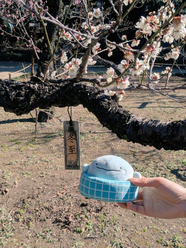 seta45's tweet image. 今日は冬至です。