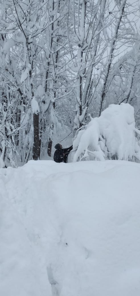 PulwamaStd's tweet photo. Heartfelt appreciation to the employees on duty for maintaining uninterrupted electricity supply despite heavy snowfall and extreme weather conditions. Your dedication and tireless efforts are truly commendable. https://t.co/anHsB3wa5D