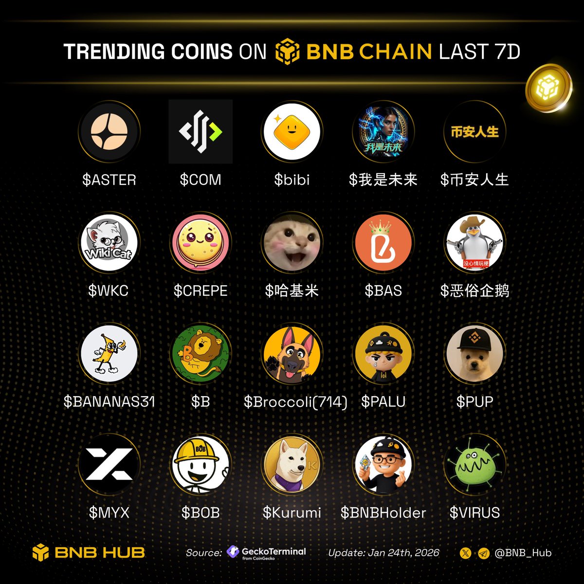 Gina Grosu (@Terraquea3) / Posts / X