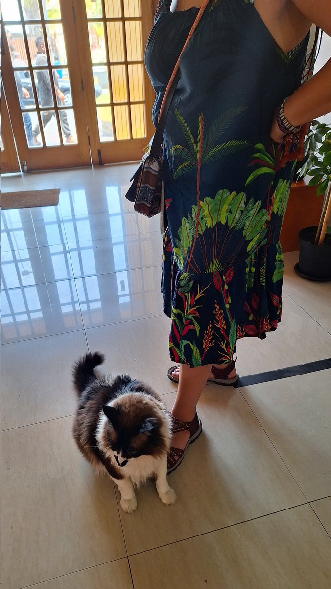 Liz Coronel tweet media