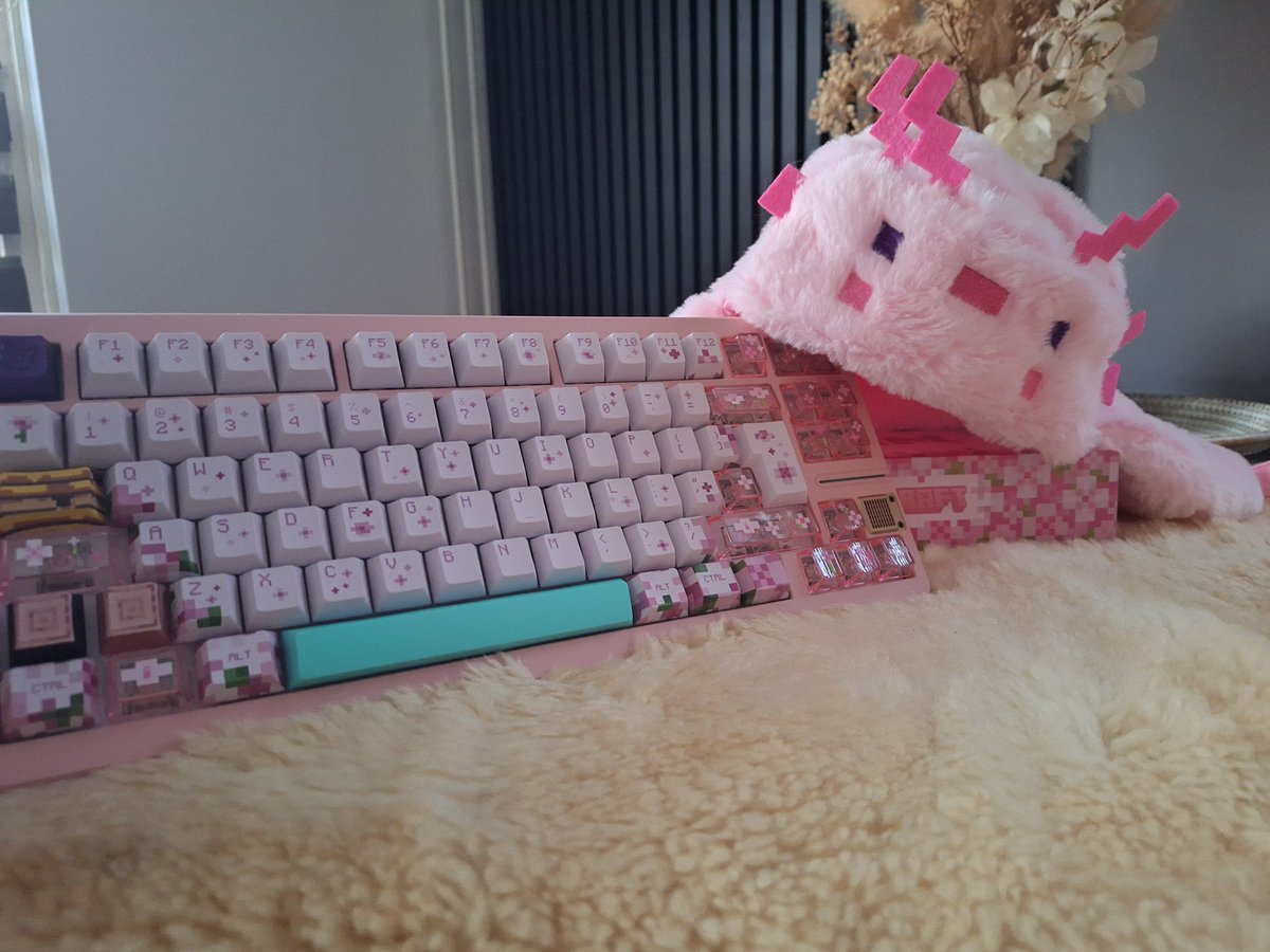 angelicat!! ^-^ (@AngeIicat) / Posts / X