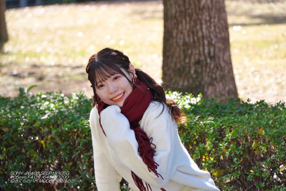 🇺🇦さくら🐇のパパ🇯🇵高配当株に移行中🇺🇦 (@K70_55) / Posts / X