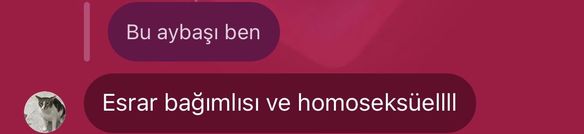 Levent tweet media