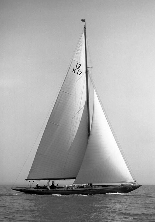 Delight Moments tweet media