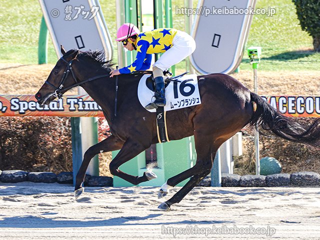 <a href="/kawagoefa/">川越ファーム 川越祐樹</a> ㊗おめでとうございます📷写真をどうぞ
#ムーンブランシュ の3歳未勝利 2026年1月24日中山1R
騎手： #木幡巧也 生産者： #川越ファーム（浦河）
#競馬 #keiba