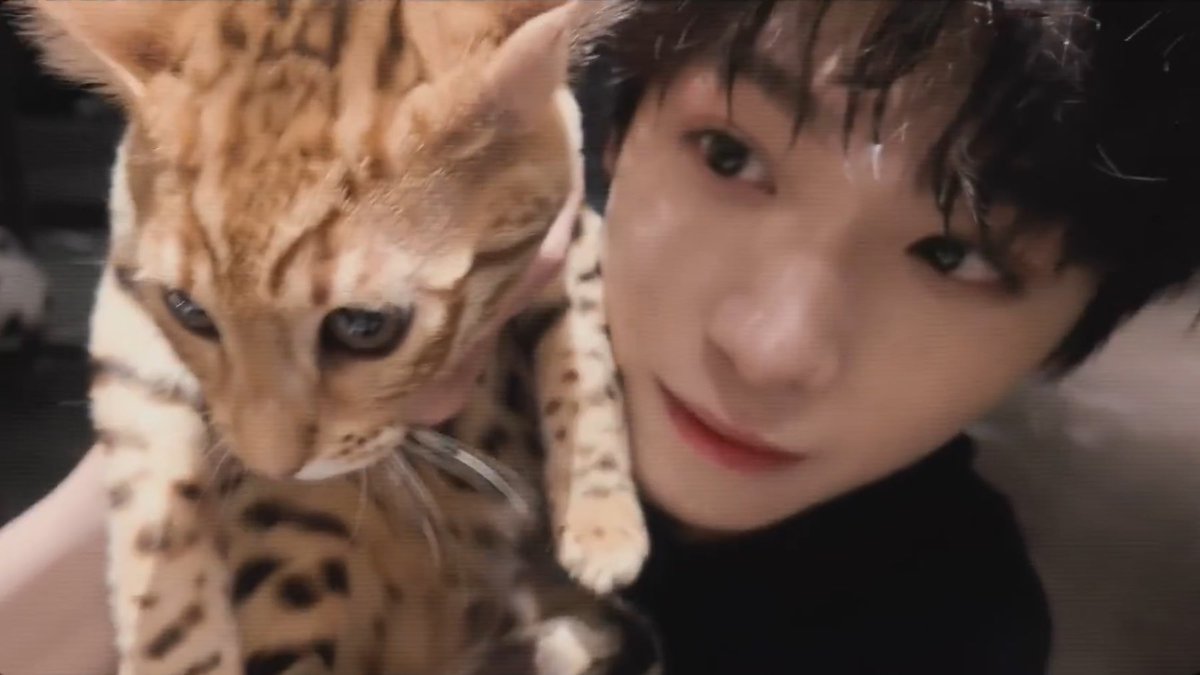 flowjustflow's tweet image. kucingnya yang mana inituh🤏