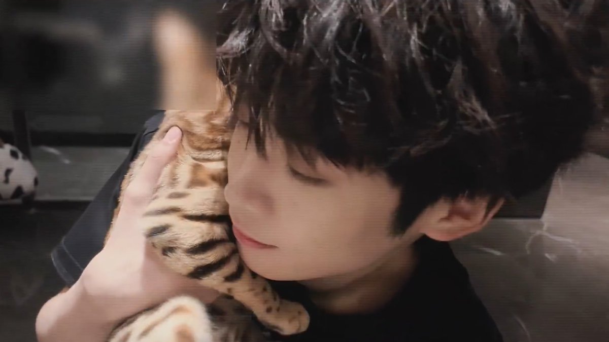 flowjustflow's tweet image. kucingnya yang mana inituh🤏