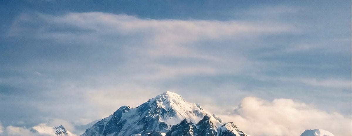 Year of the penguin.