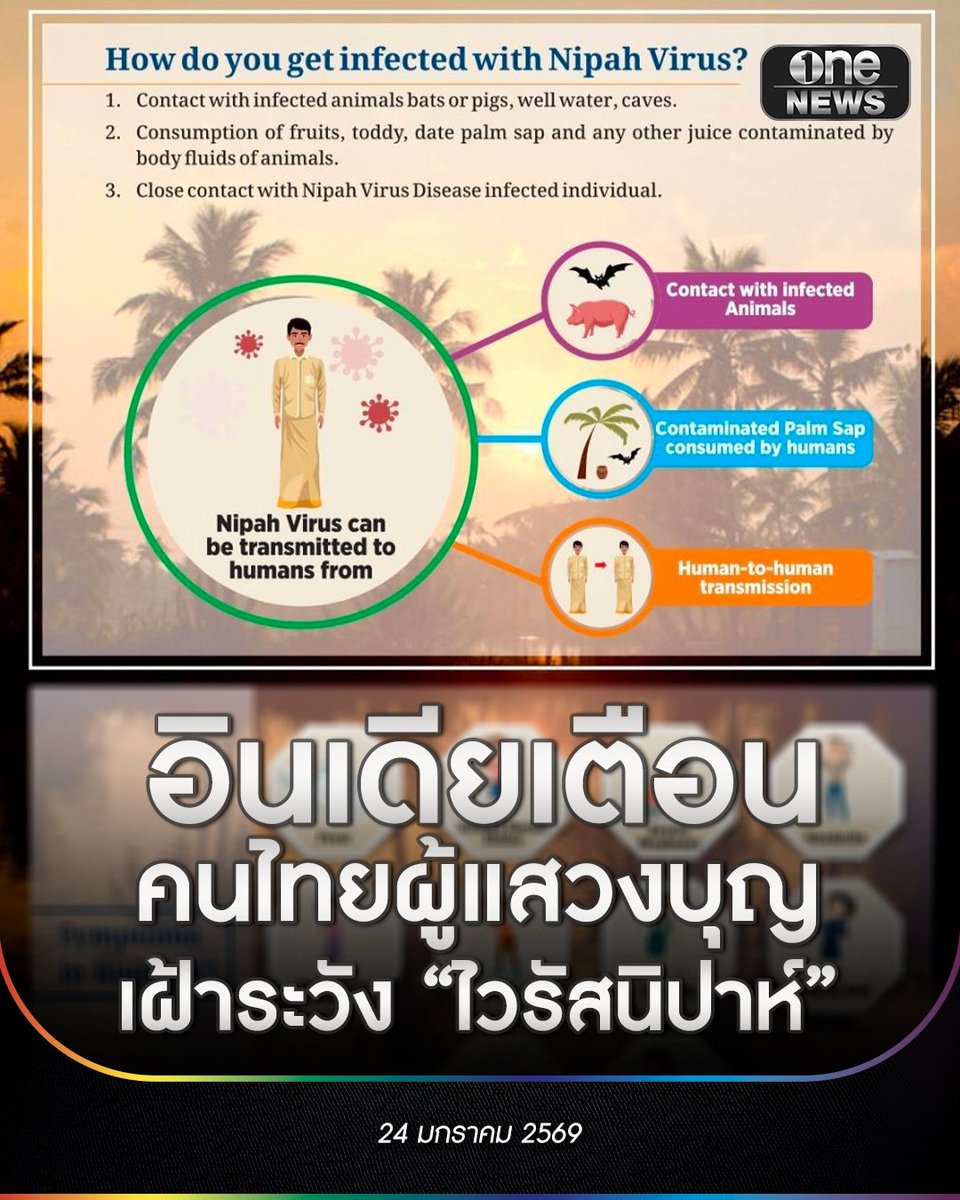 onenews31's tweet image. สถานกงสุลใหญ่เมืองกัลกัตตาของอินเดีย ประกาศเดือนการแพร่ระบาดของไวรัสนิปาห์ โดยขอให้คนไทยในพื้นที่ โดยเฉพาะผู้แสวงบุญชาวไทยที่จะเดินทางมาแสวงบุญที่พุทธคยา และพื้นที่ใกล้เคียง เขตรัฐพิหาร ให้ระมัดระวังและติดตามข่าวการแพร่ระบาดอย่างใกล้ชิด…